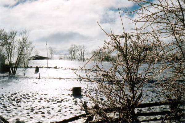 Fifth Line Winter